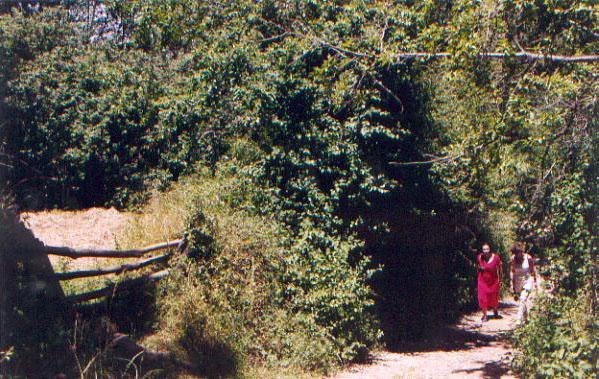El Risco Del Lomero, Alberca 4 Huesp Max Valdelarco Exterior foto